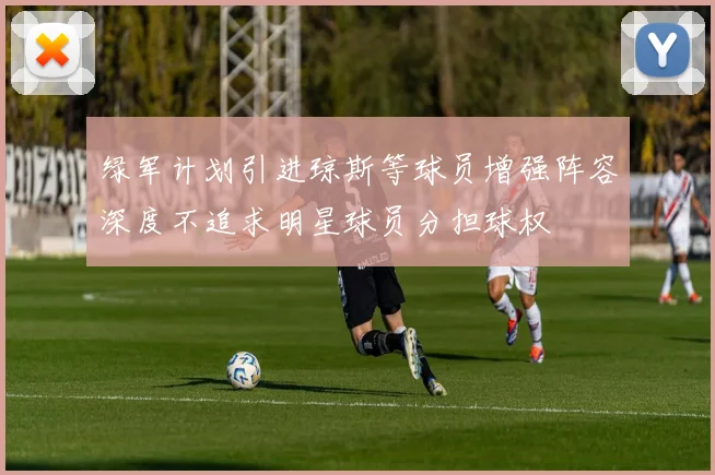 绿军计划引进琼斯等球员增强阵容深度不追求明星球员分担球权