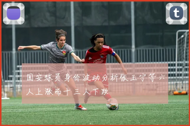 国安球员身价波动分析张玉宁等六人上涨而十三人下跌