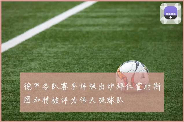 德甲各队赛季评级出炉拜仁霍村斯图加特被评为伟大级球队